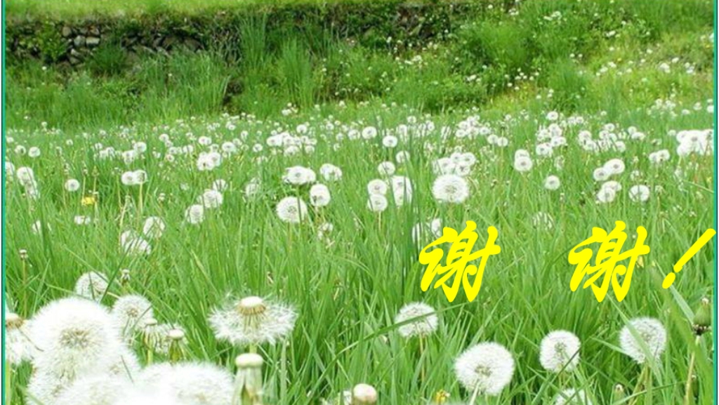 小学语文园地六PPT课件 小学语文园地六PPT课件