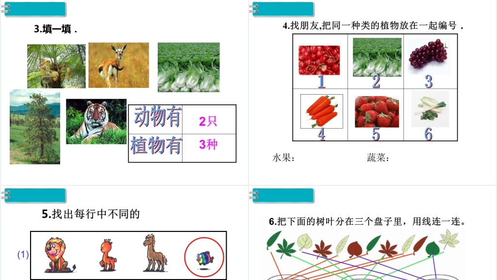 《一年级数学下册(RJ)》第3单元的第3课时是关于分类与整理的练习课PPT课件 《一年级数学下册(RJ)》第3单元的第3课时是关于分类与整理的练习课PPT课件