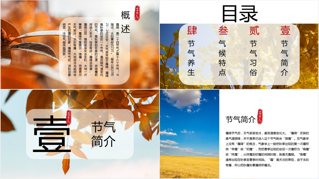 精美霜降节气PPT模板