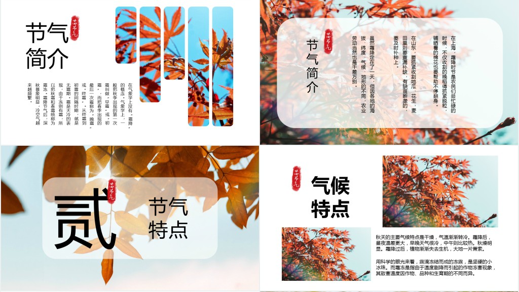 精美霜降节气PPT模板