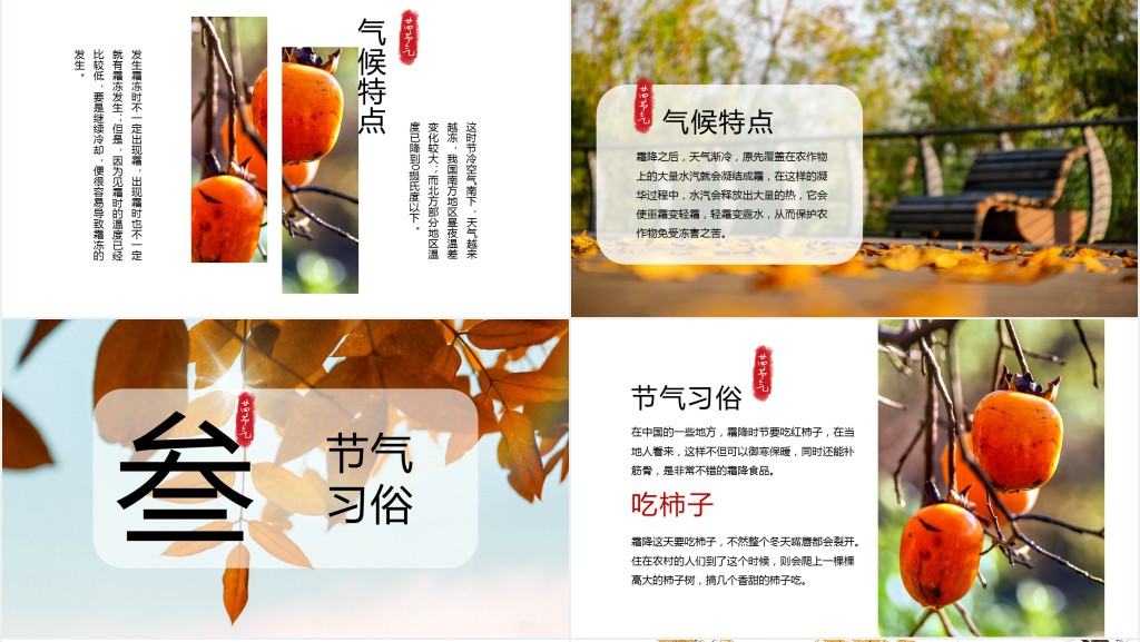 精美霜降节气PPT模板