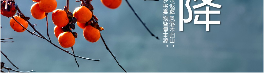 精美霜降节气PPT模板