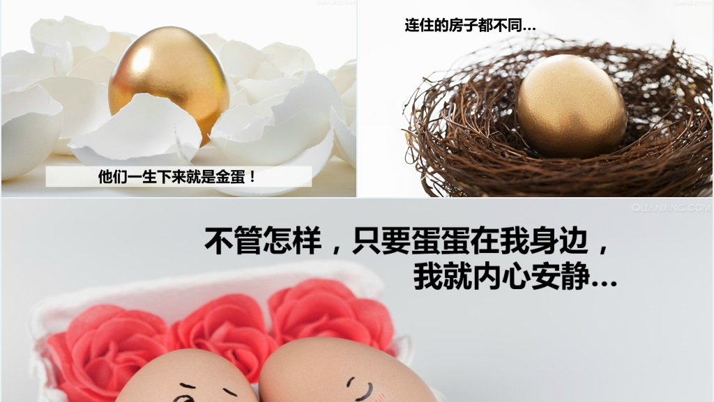 幼儿园一个鸡蛋的故事绘本故事PPT课件 幼儿园一个鸡蛋的故事绘本故事PPT课件