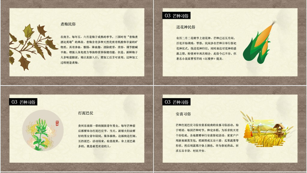 二十四节气之一的芒种PPT模板 二十四节气之一的芒种PPT模板
