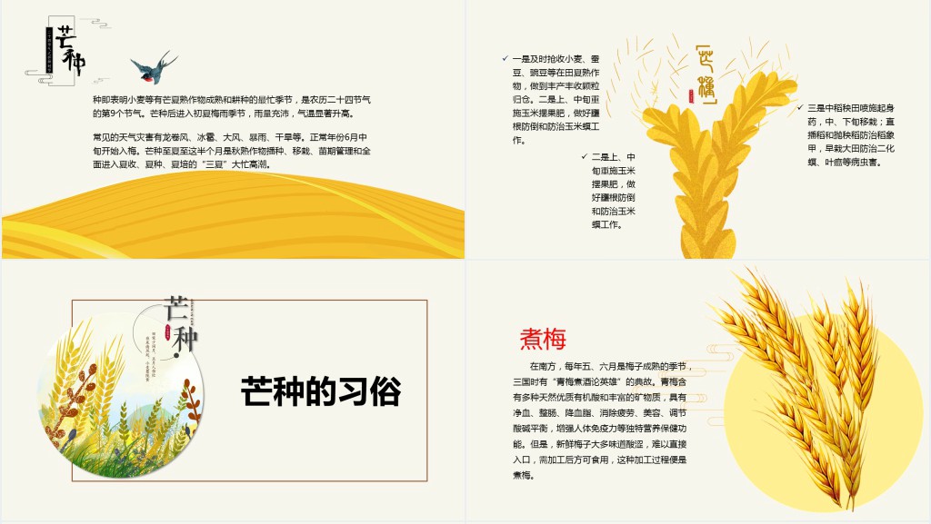 二十四节气之芒种习俗PPT模板 二十四节气之芒种习俗PPT模板