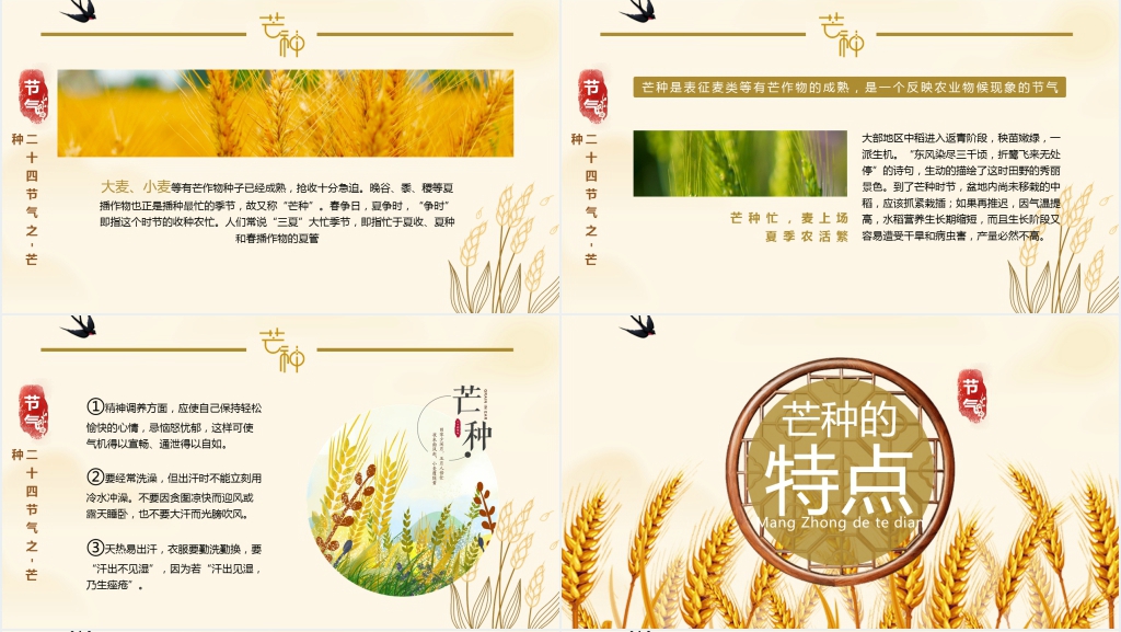 芒种习俗讲解PPT模板 芒种习俗讲解PPT模板