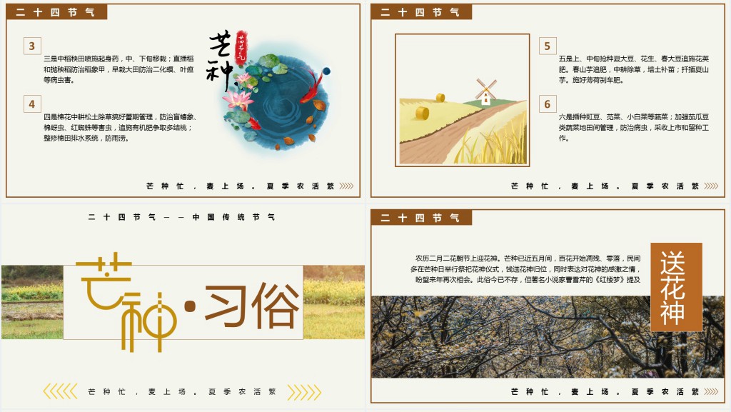 芒种节气的古诗诗歌PPT模板 芒种节气的古诗诗歌PPT模板