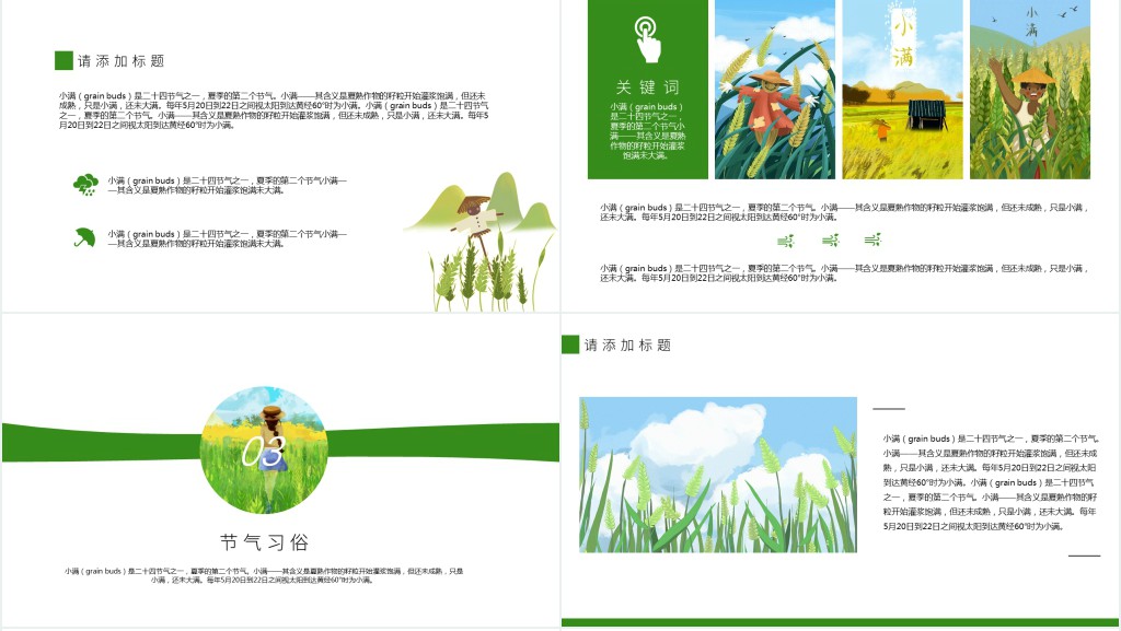 小清新小满节气通用PPT模板 小清新小满节气通用PPT模板