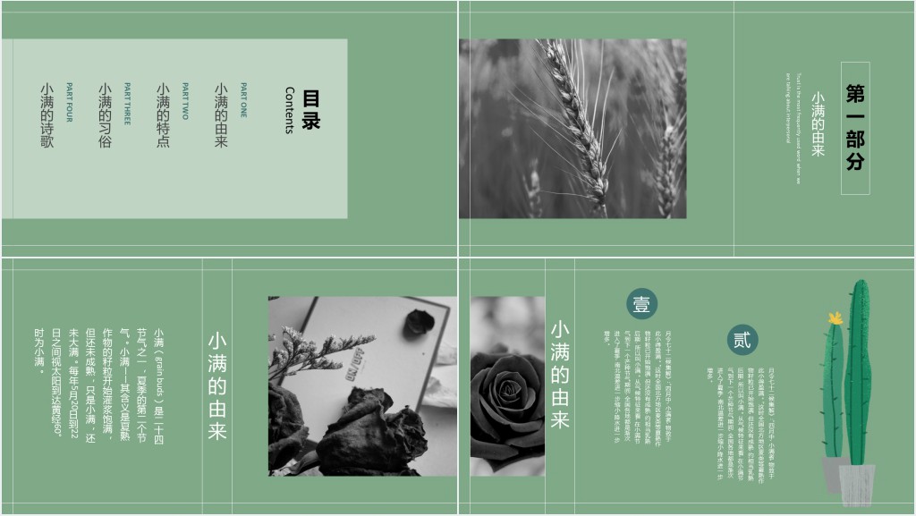 小满节气特点介绍PPT模板 小满节气特点介绍PPT模板