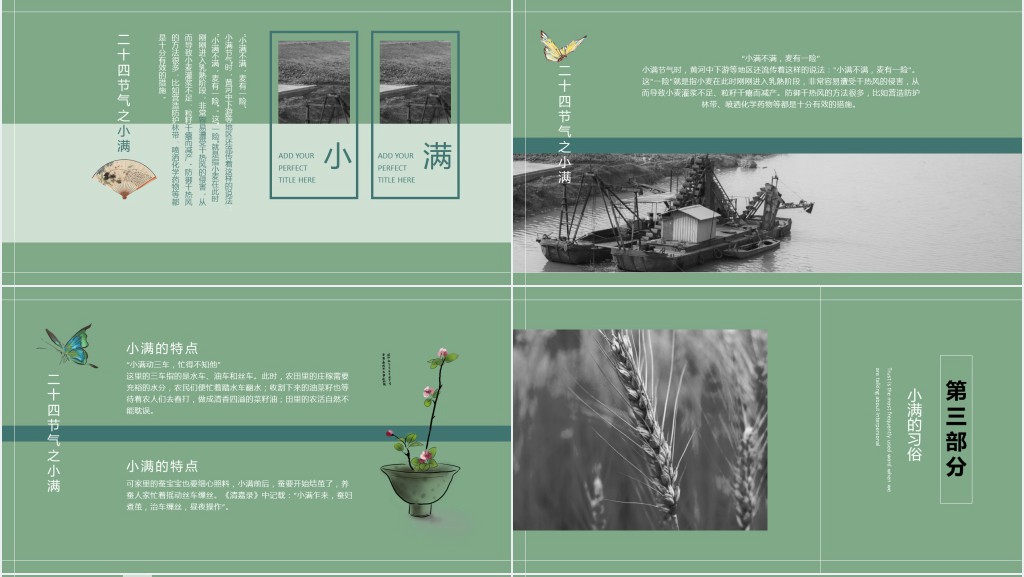 小满节气特点介绍PPT模板 小满节气特点介绍PPT模板