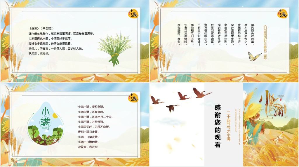 黄色小满节气讲解PPT模板 黄色小满节气讲解PPT模板