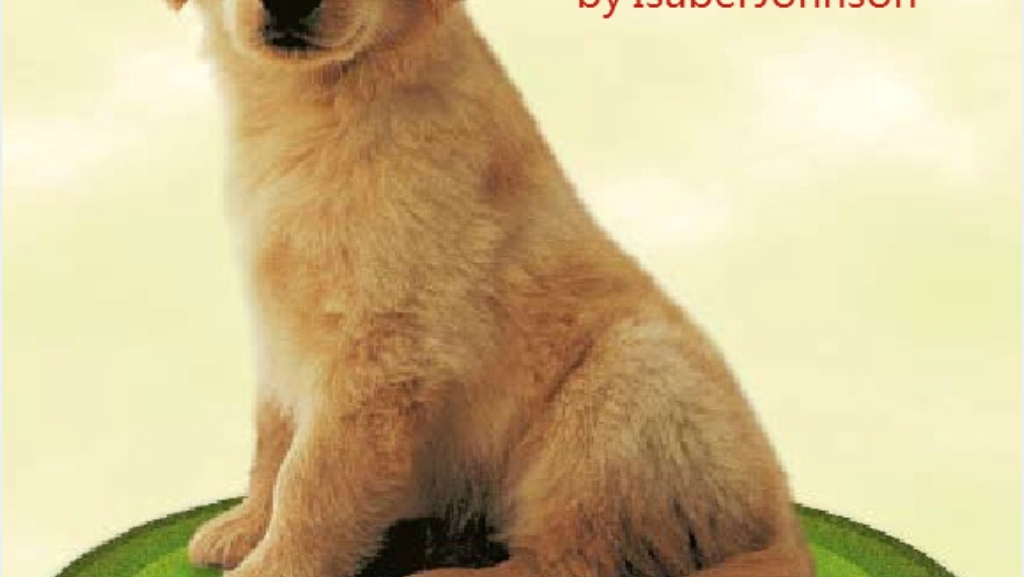 the puppy绘本故事PPT课件 the puppy绘本故事PPT课件