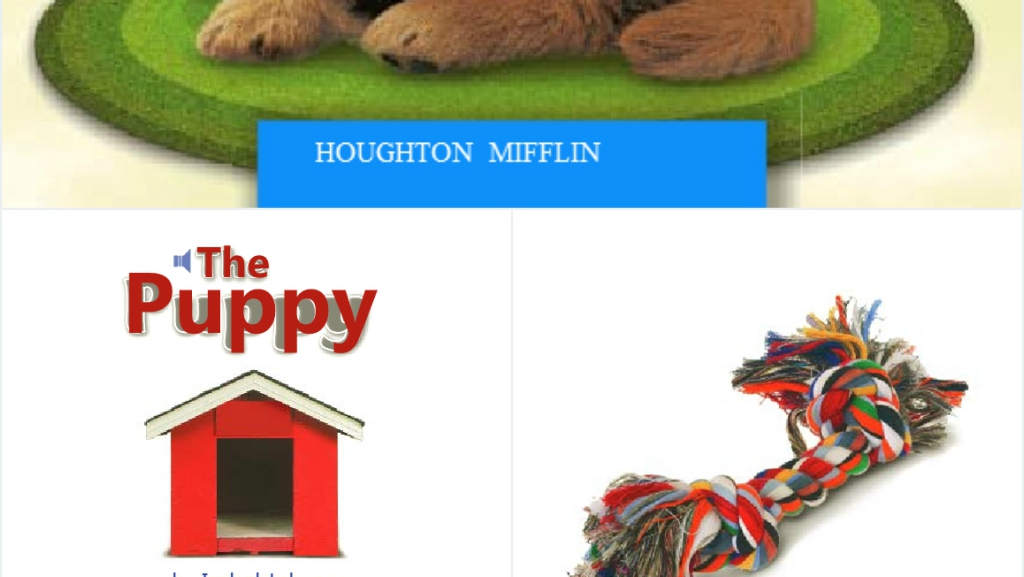 the puppy绘本故事PPT课件 the puppy绘本故事PPT课件