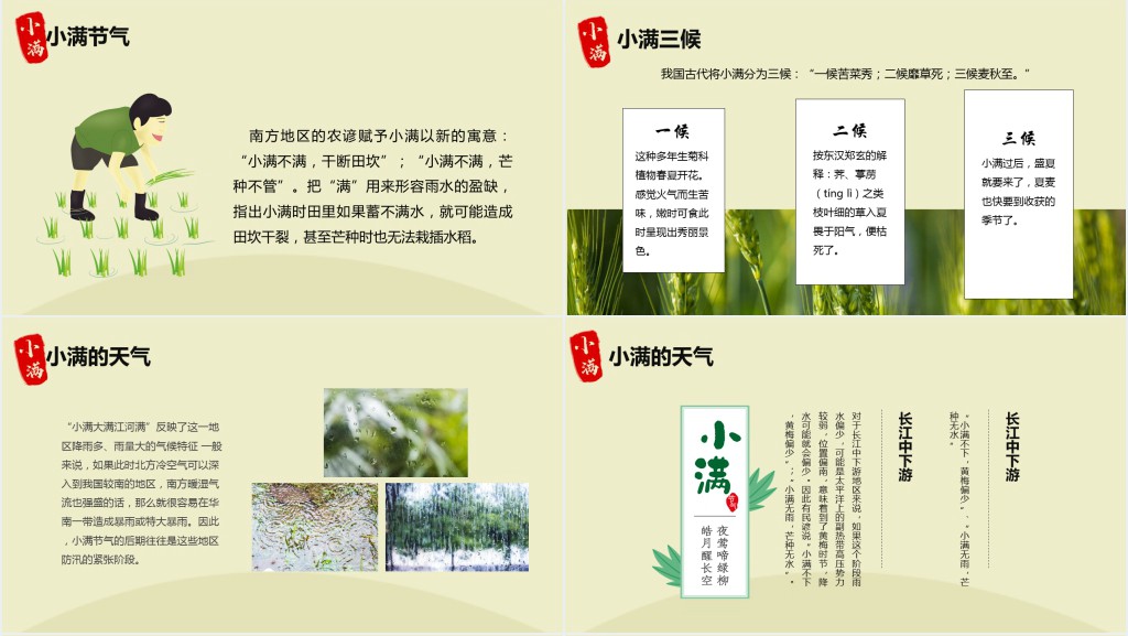小满了解的节气简单介绍PPT模板 小满了解的节气简单介绍PPT模板