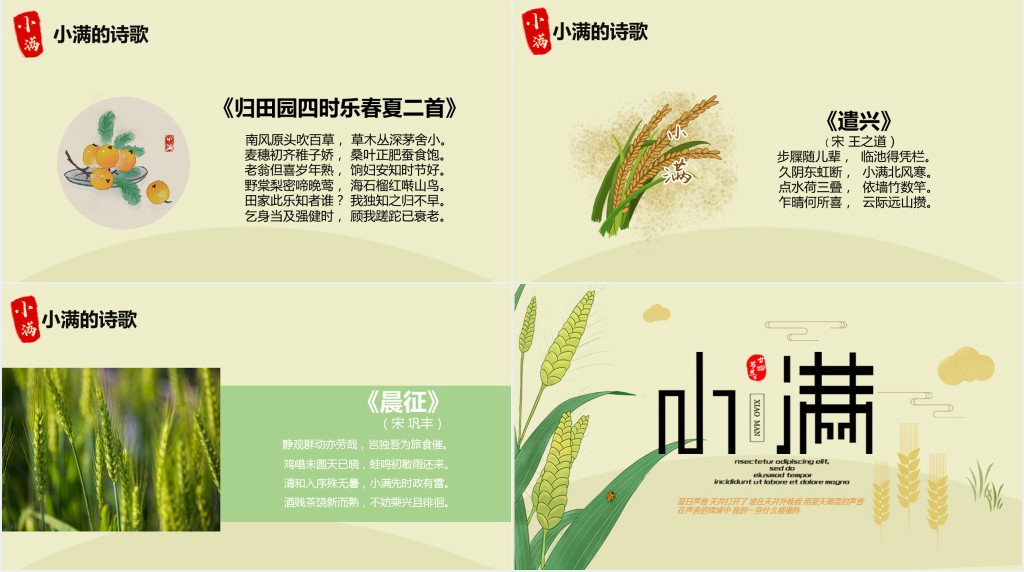 小满了解的节气简单介绍PPT模板 小满了解的节气简单介绍PPT模板