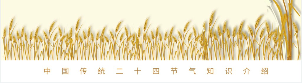 小满节气详细介绍PPT模板
