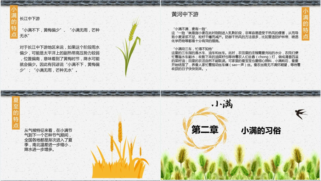 传统节气小满介绍PPT模板 传统节气小满介绍PPT模板