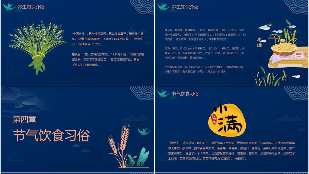 介绍小满节气PPT模板 介绍小满节气PPT模板