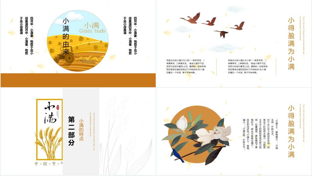 小满节气习俗介绍PPT模板