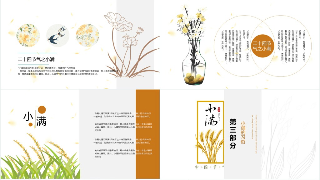 小满节气习俗介绍PPT模板