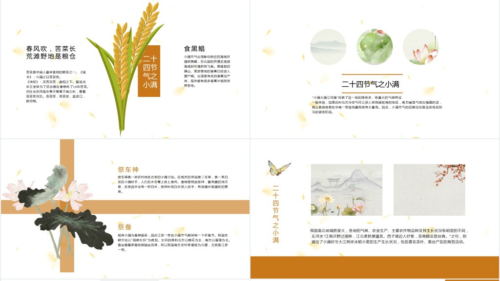 小满节气习俗介绍PPT模板