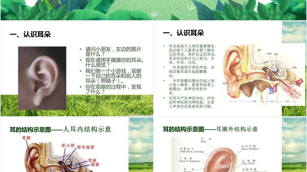 小学爱耳日主题班会PPT课件 小学爱耳日主题班会PPT课件