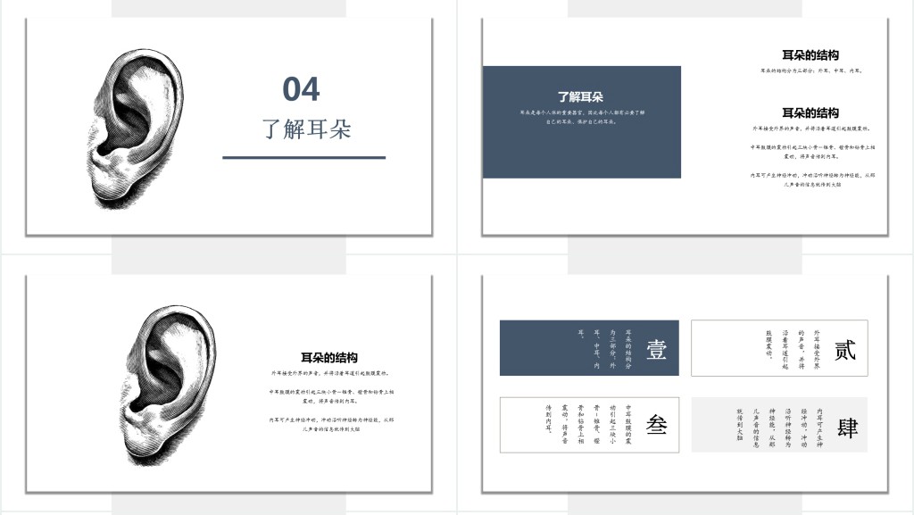世界爱耳日知识讲座PPT