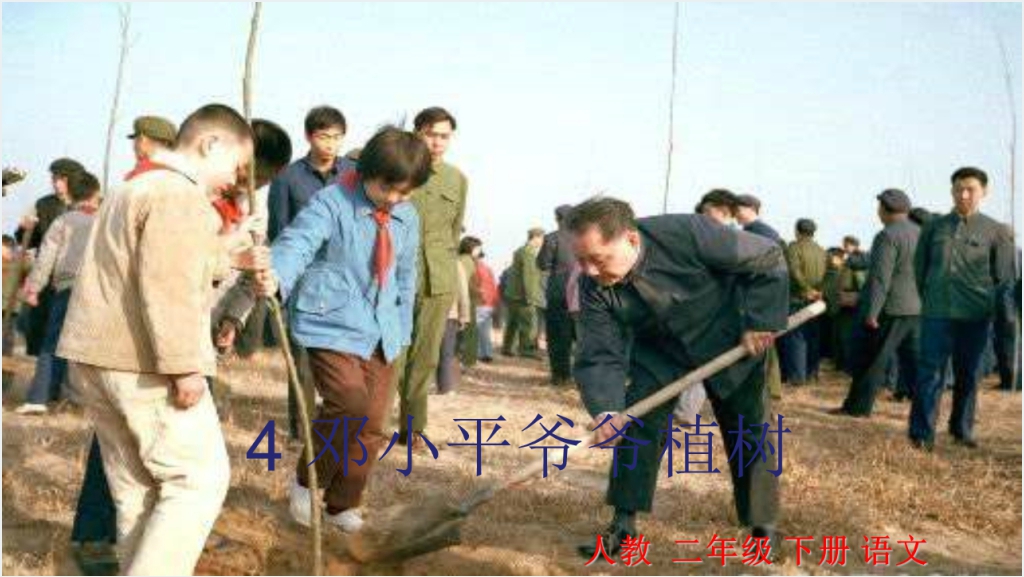 4邓小平爷爷植树PPT课件截图