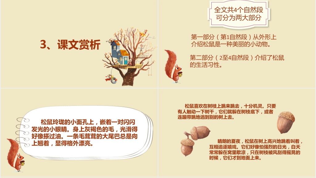 人教版小学五年级语文《松鼠》PPT课件 人教版小学五年级语文《松鼠》PPT课件