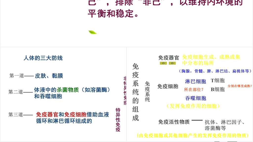高三第四节免疫调节PPT课件 高三第四节免疫调节PPT课件
