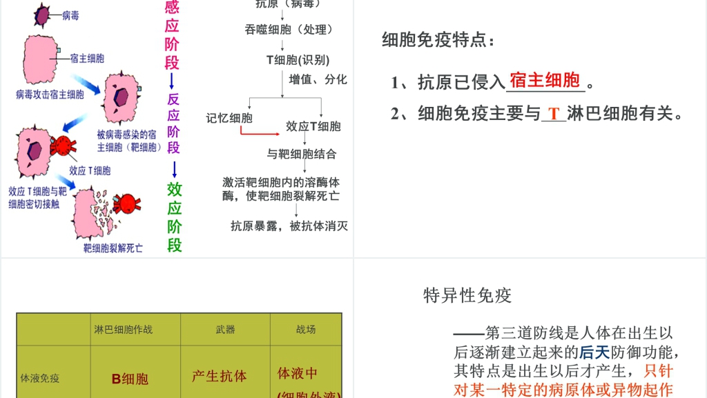 高三第四节免疫调节PPT课件 高三第四节免疫调节PPT课件