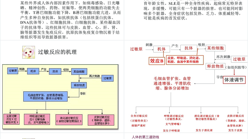高三第四节免疫调节PPT课件 高三第四节免疫调节PPT课件