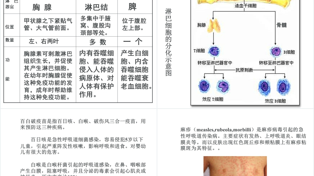 高三第四节免疫调节PPT课件 高三第四节免疫调节PPT课件