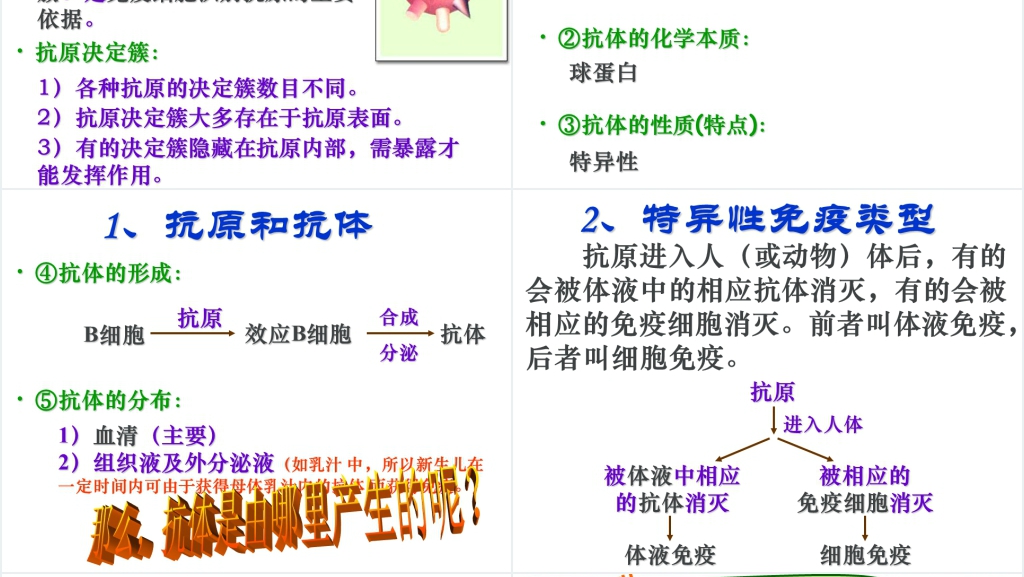 高三第四节免疫调节PPT课件 高三第四节免疫调节PPT课件