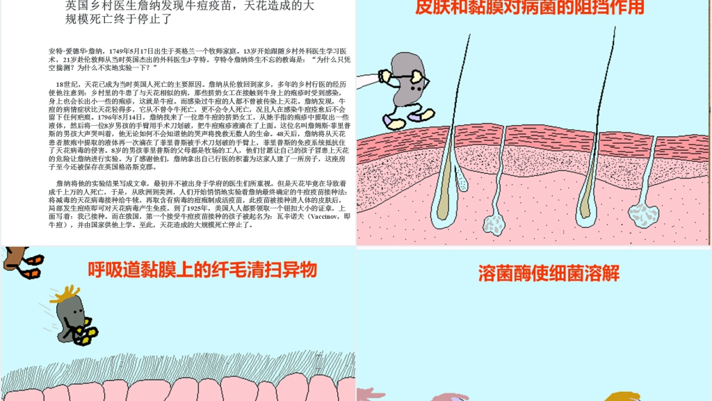高三第四节免疫调节PPT课件 高三第四节免疫调节PPT课件