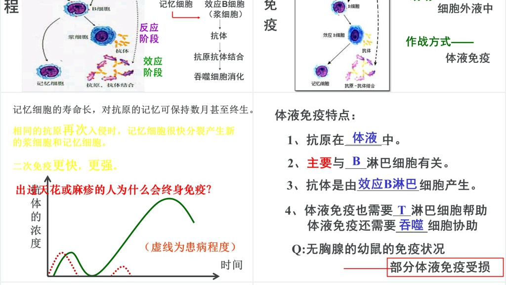 高三第四节免疫调节PPT课件 高三第四节免疫调节PPT课件
