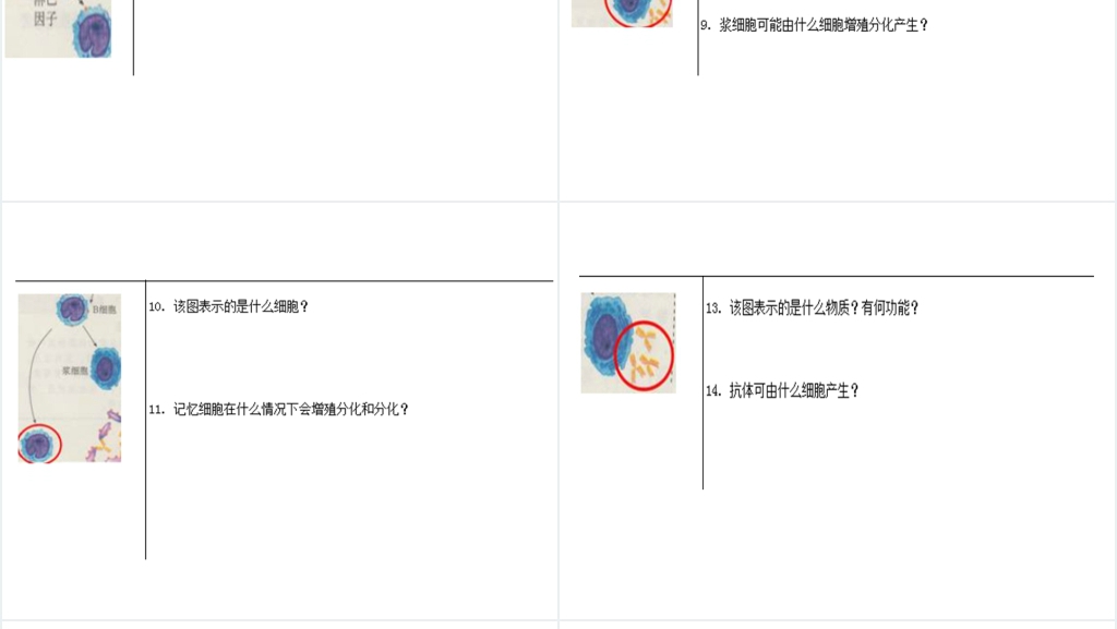 高三第四节免疫调节PPT课件 高三第四节免疫调节PPT课件