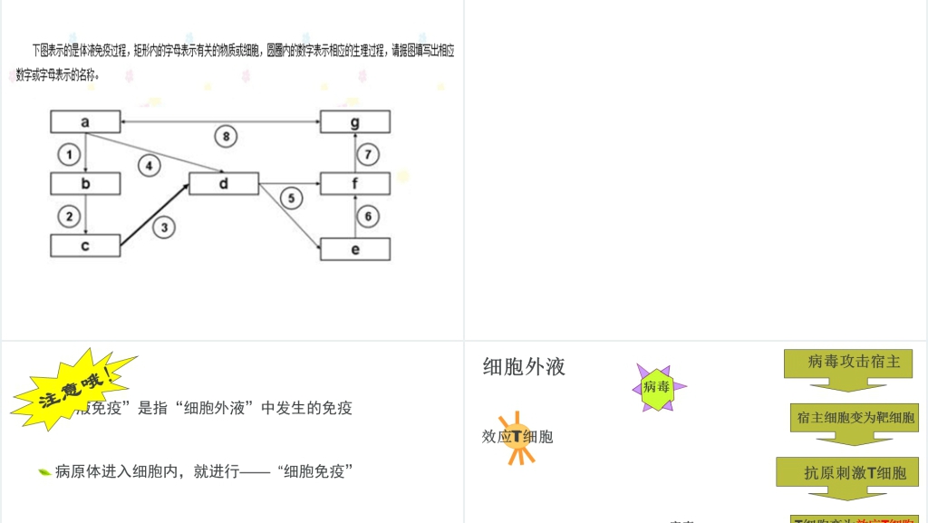 高三第四节免疫调节PPT课件 高三第四节免疫调节PPT课件
