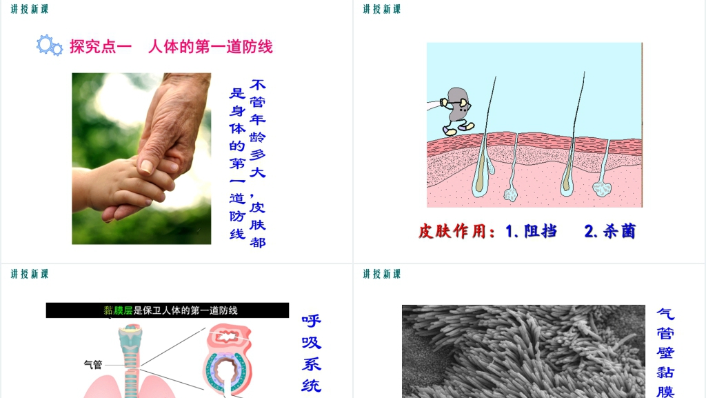 人体免疫的三道防线(第1课时)PPT课件 人体免疫的三道防线(第1课时)PPT课件
