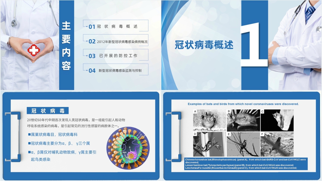 疫情形势与预防控制PPT模板 疫情形势与预防控制PPT模板