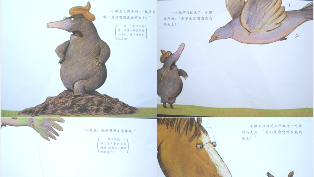 是谁嗯嗯在我头上绘本故事PPT课件 是谁嗯嗯在我头上绘本故事PPT课件