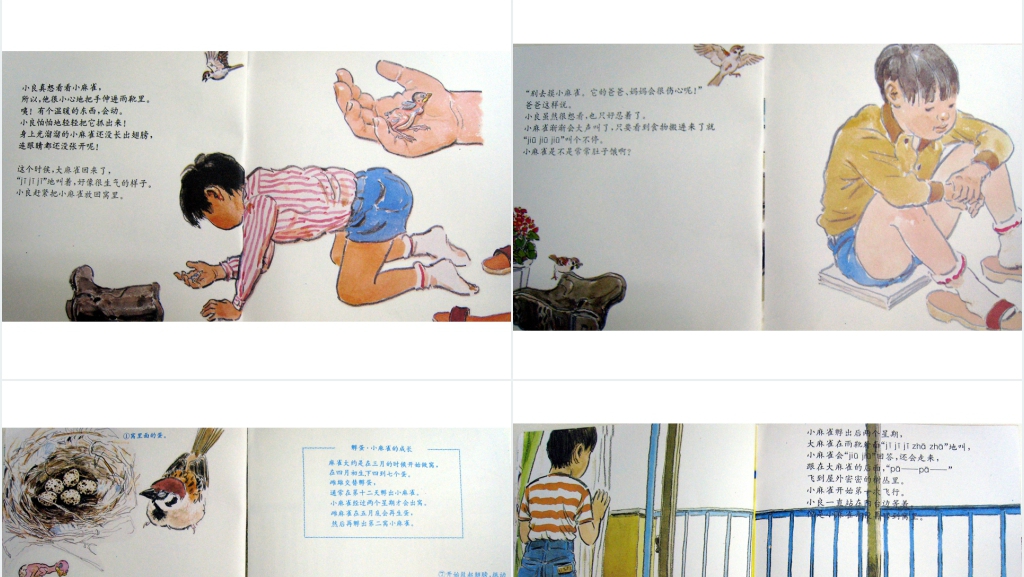 儿童雨靴里的麻雀绘本故事PPT课件 儿童雨靴里的麻雀绘本故事PPT课件