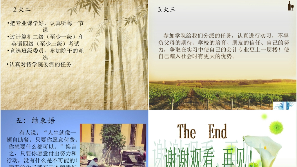 会计专业学生职业生涯规PPT范文 会计专业学生职业生涯规PPT范文