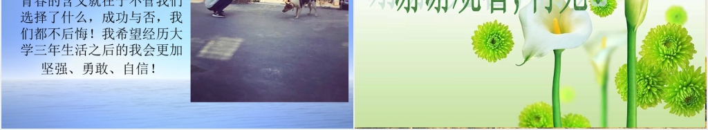会计专业学生职业生涯规PPT范文 会计专业学生职业生涯规PPT范文