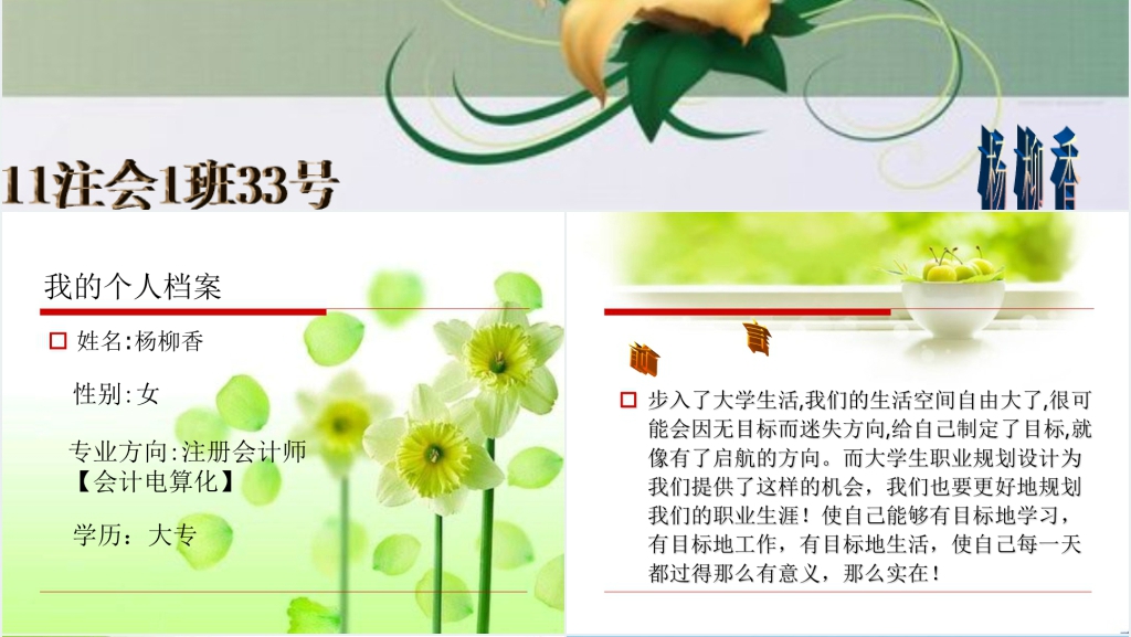 会计电算化专业的职业规划PPT范文 会计电算化专业的职业规划PPT范文
