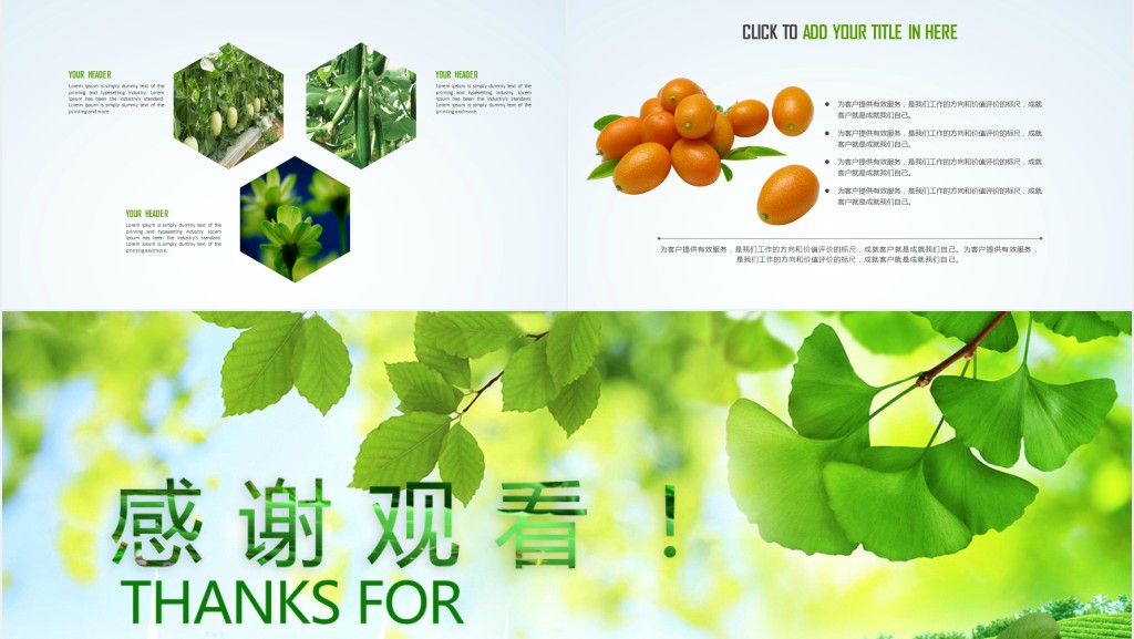 绿色有机水果蔬菜宣传推广PPT模板 绿色有机水果蔬菜宣传推广PPT模板