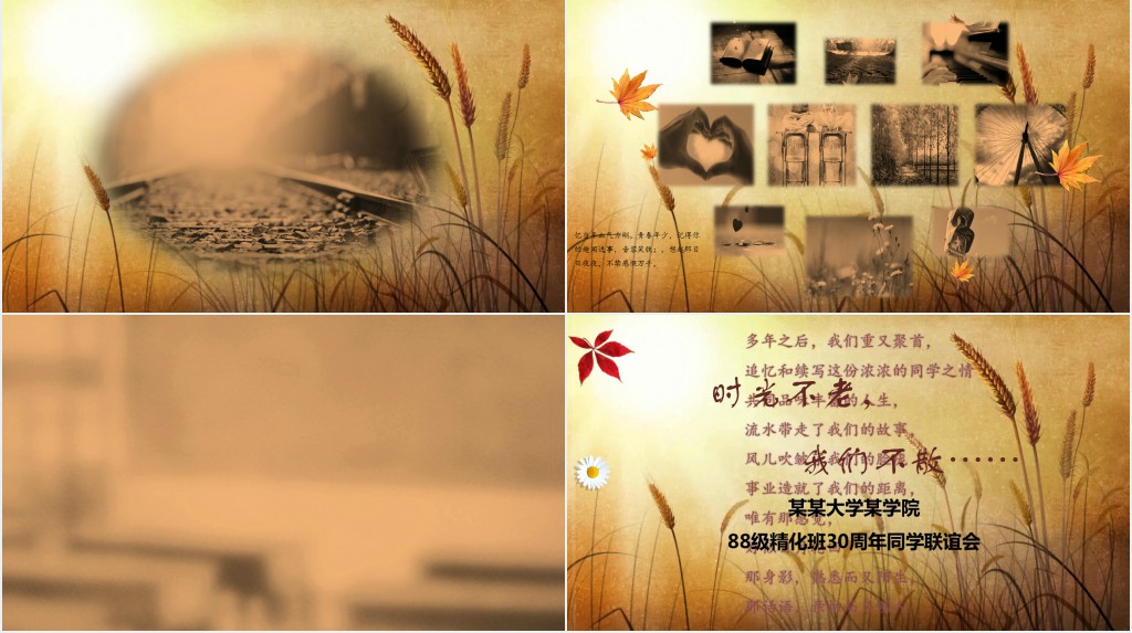 时间都去那了PPT相册素材 时间都去那了PPT相册素材