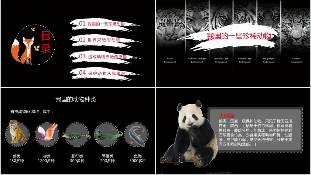 黑色保护濒危野生动物PPT课件 黑色保护濒危野生动物PPT课件