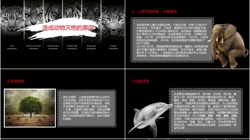 黑色保护濒危野生动物PPT课件 黑色保护濒危野生动物PPT课件