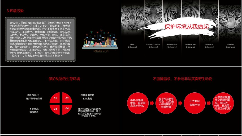 黑色保护濒危野生动物PPT课件 黑色保护濒危野生动物PPT课件